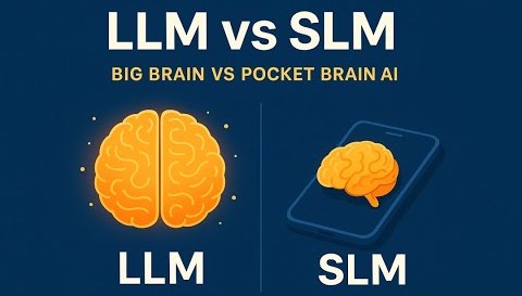 LLM vs SLM
